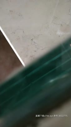 酒店约炮【全国探花】偷拍与极品女神露脸啪啪口交秀